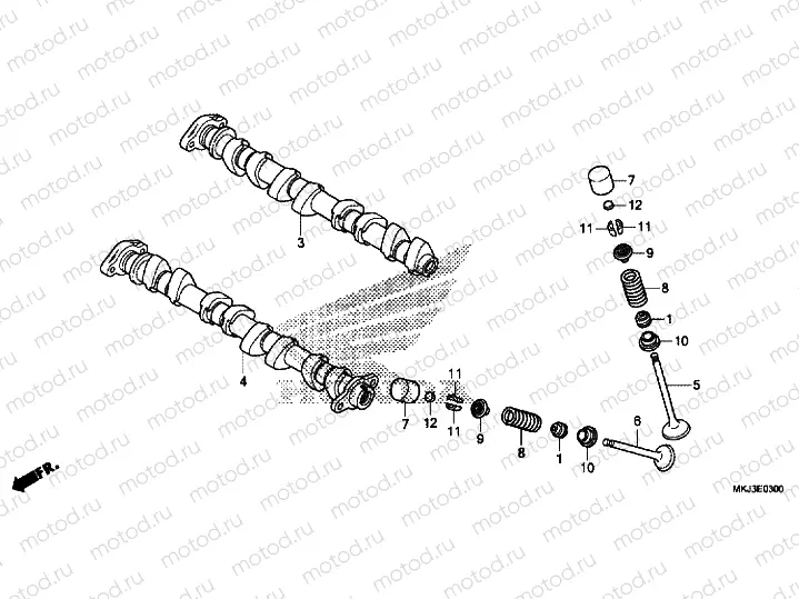 CAMSHAFT / VALVE