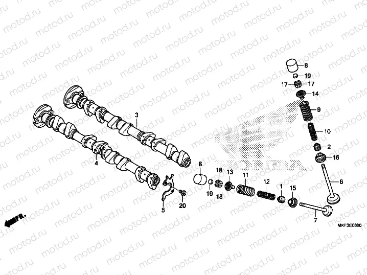 CAMSHAFT / VALVE