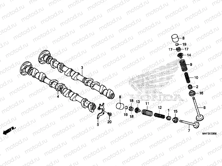 CAMSHAFT / VALVE