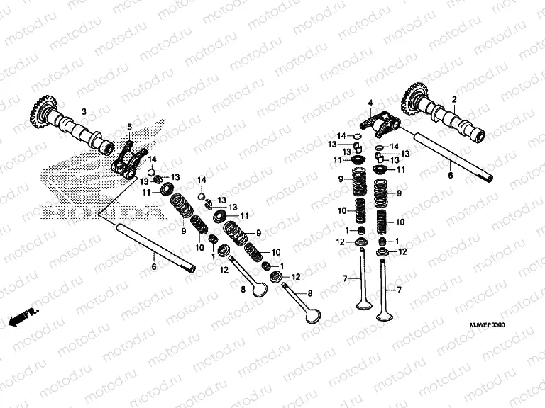 CAMSHAFT / VALVE