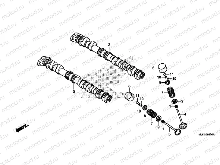 CAMSHAFT / VALVE