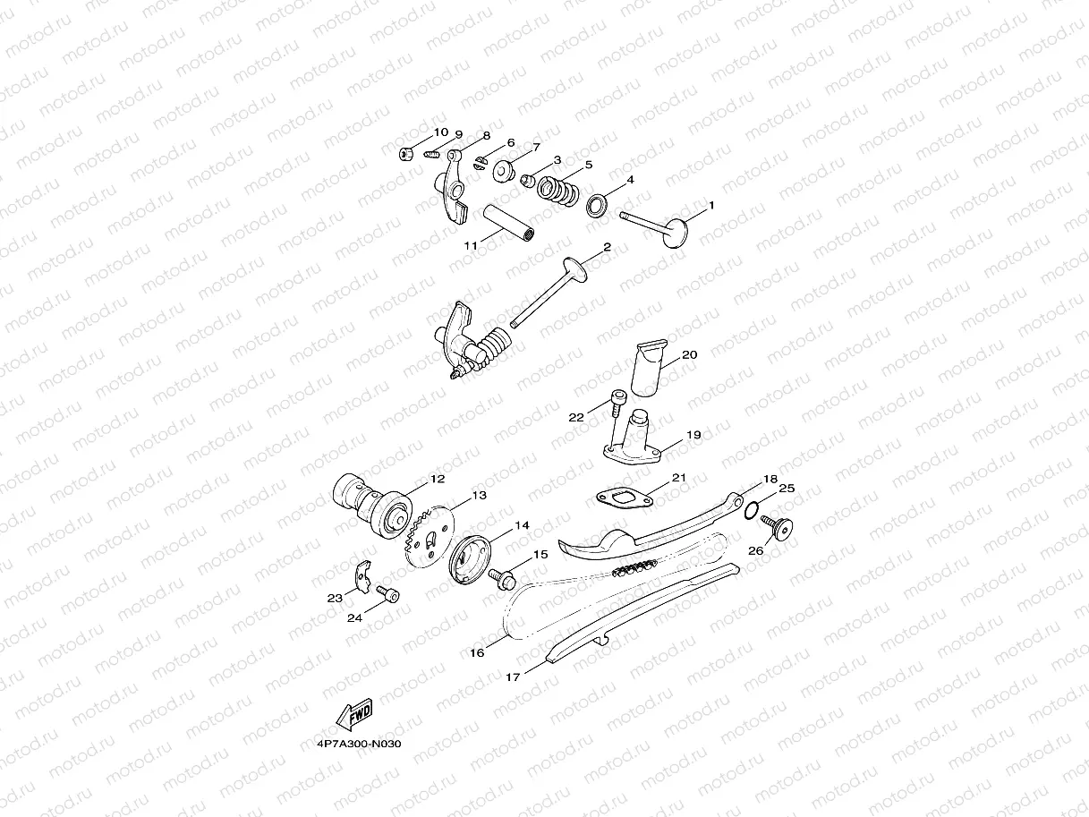 CAMSHAFT & VALVE