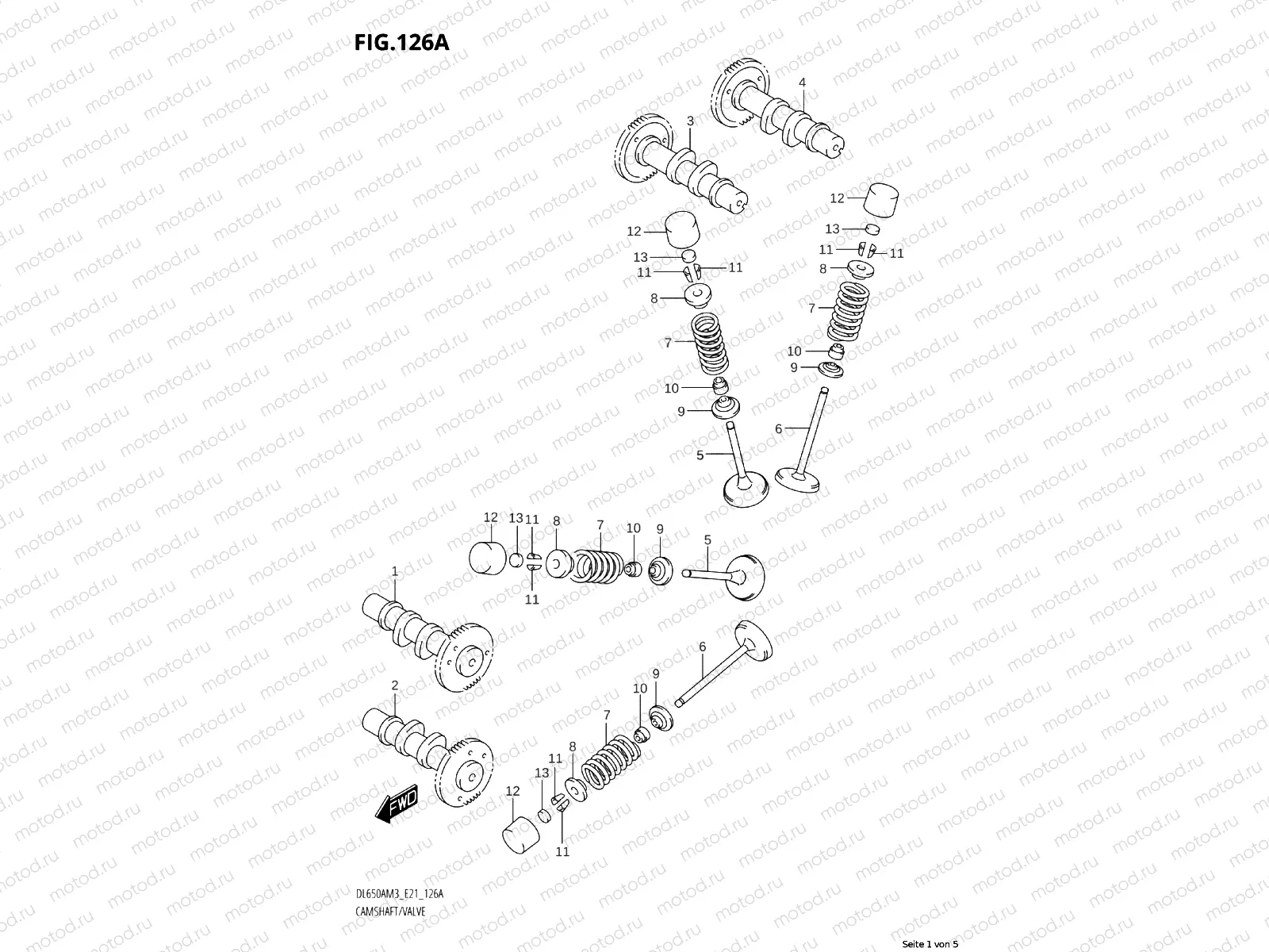 CAMSHAFT / VALVE