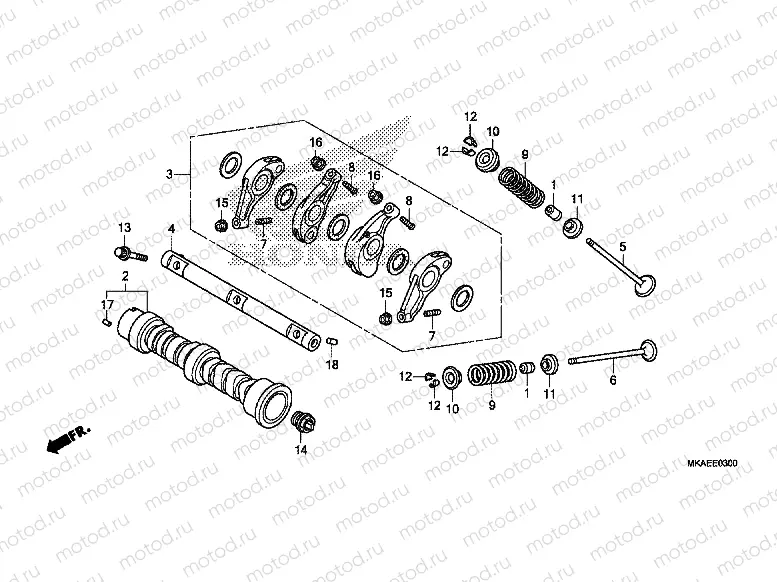 CAMSHAFT/VALVE