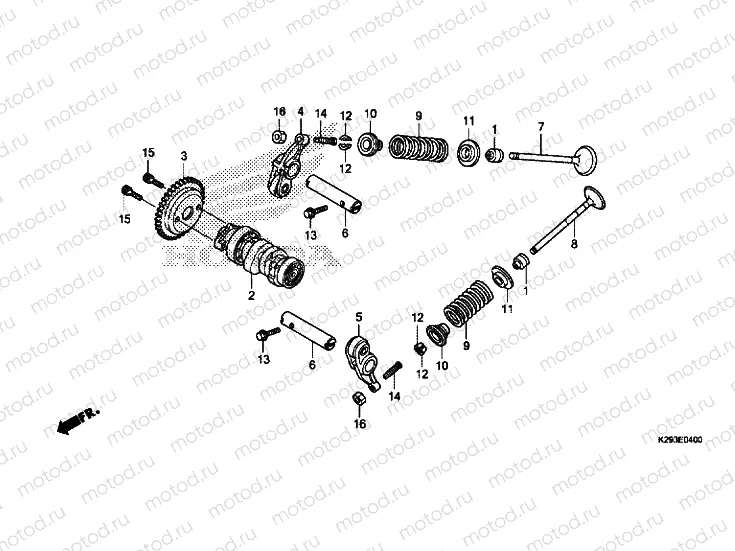 CAMSHAFT/VALVE