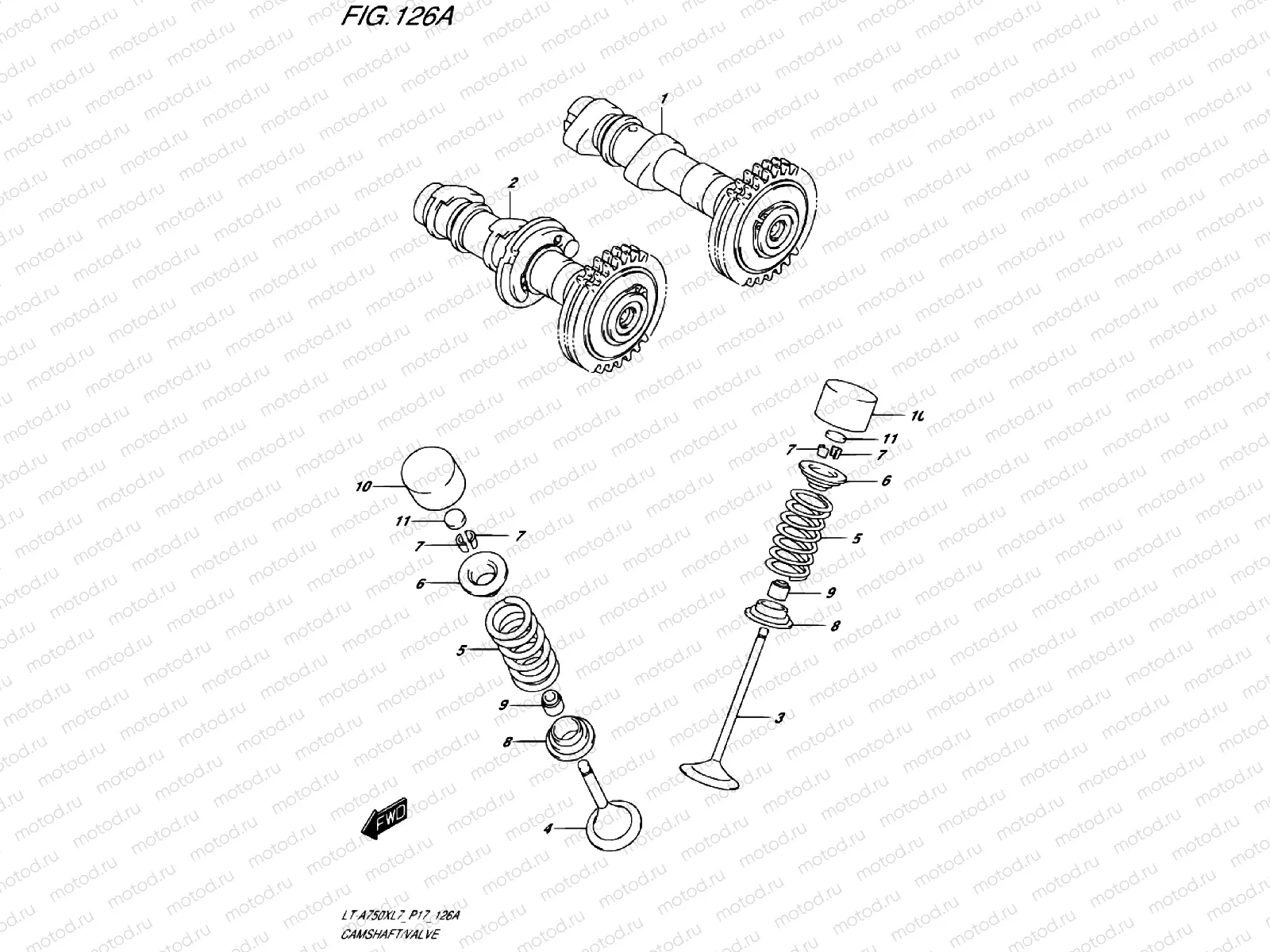 CAMSHAFT/VALVE
