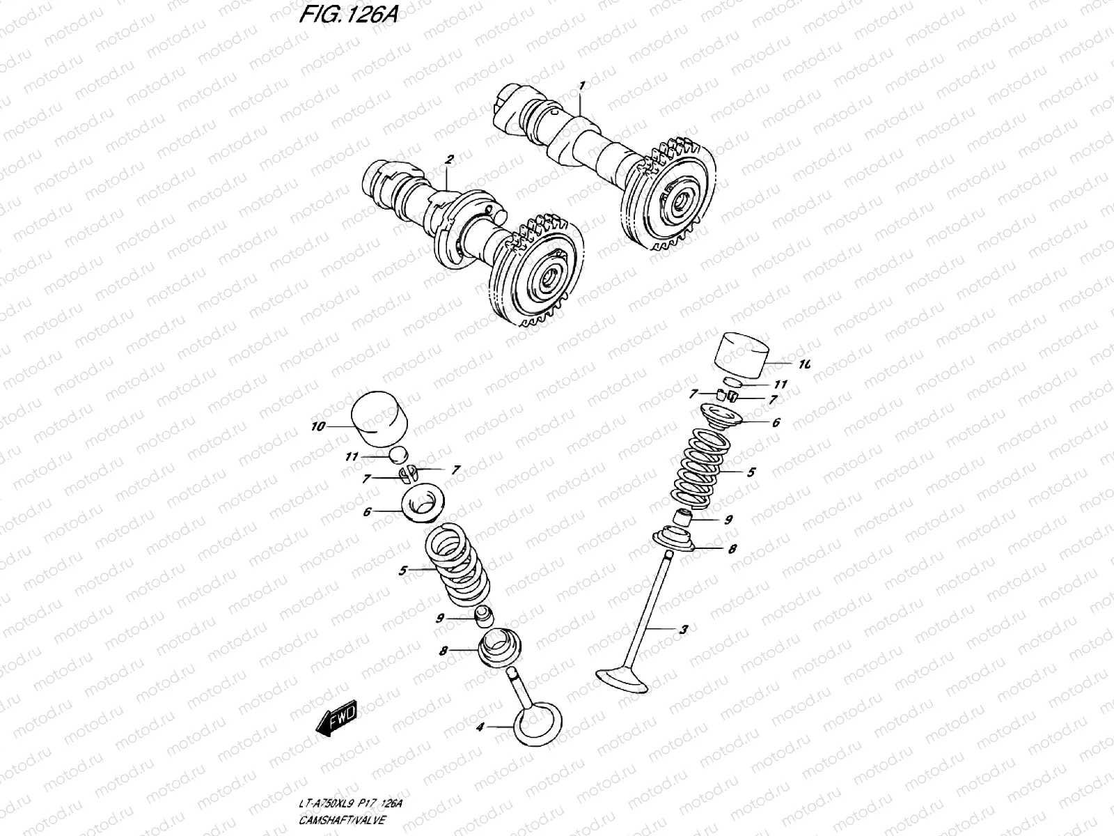 CAMSHAFT/VALVE