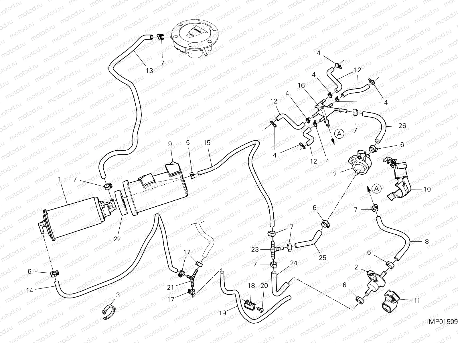 CANISTER FILTER [XST:TWN]