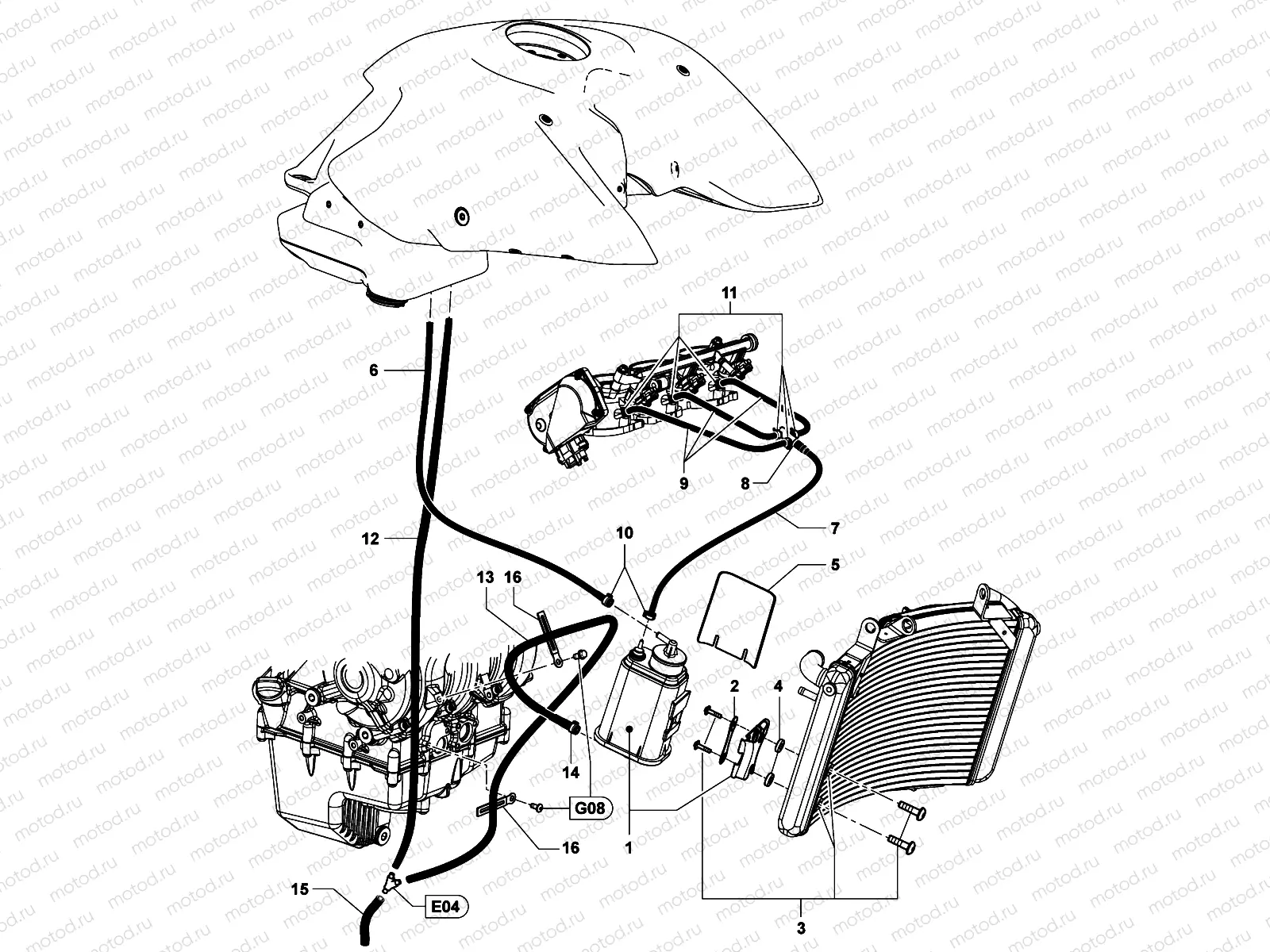 Carbon Canister Assembly