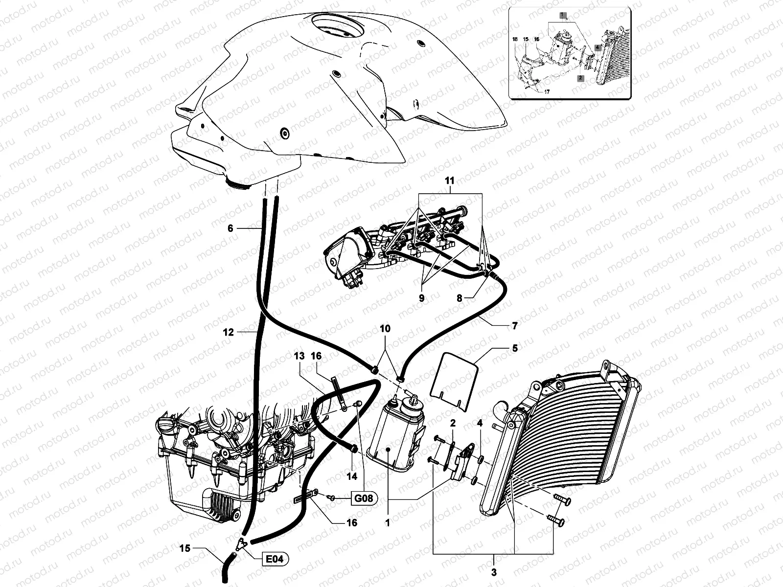 Carbon Canister Assembly