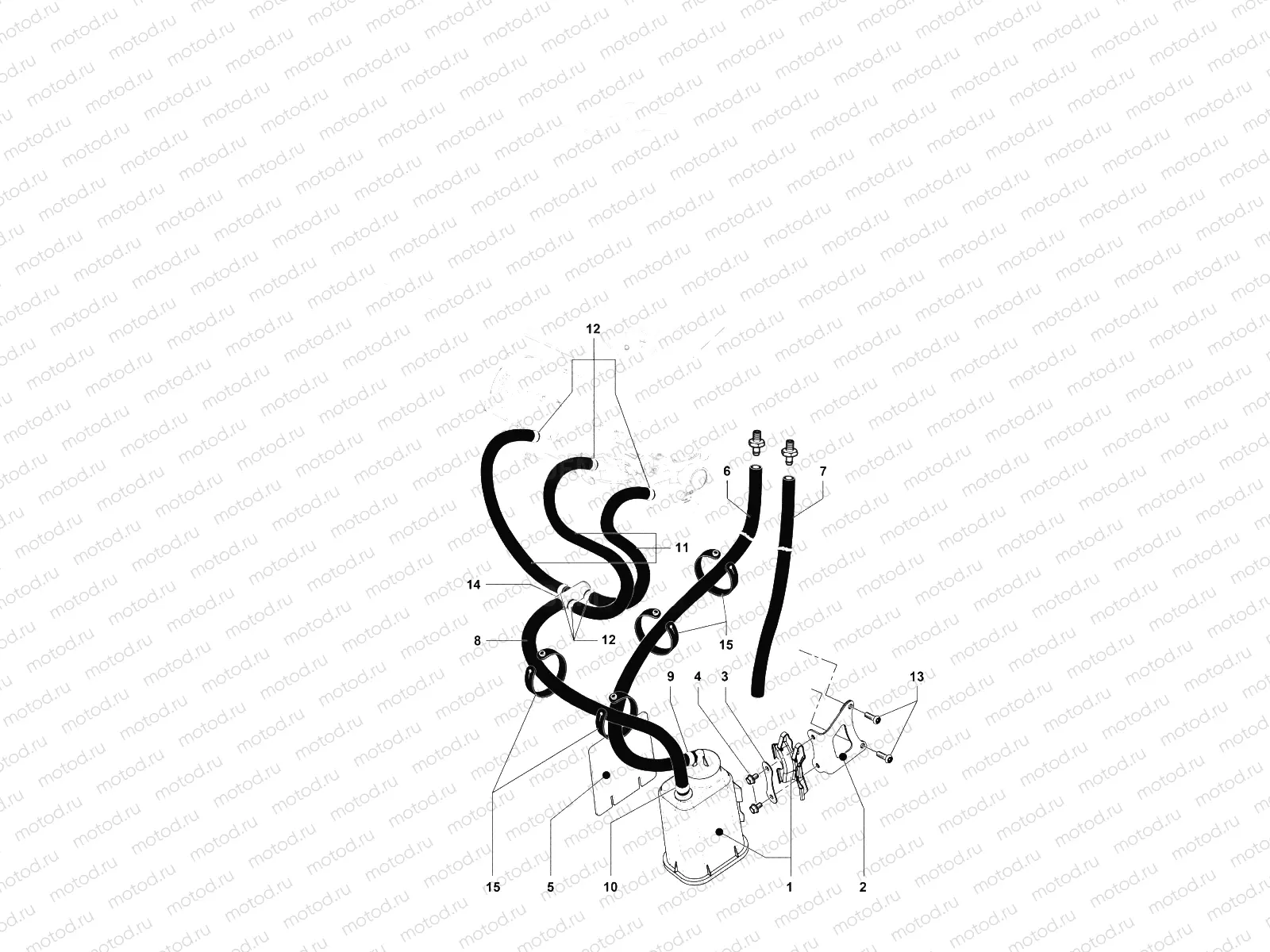 Carbon Canister Assy