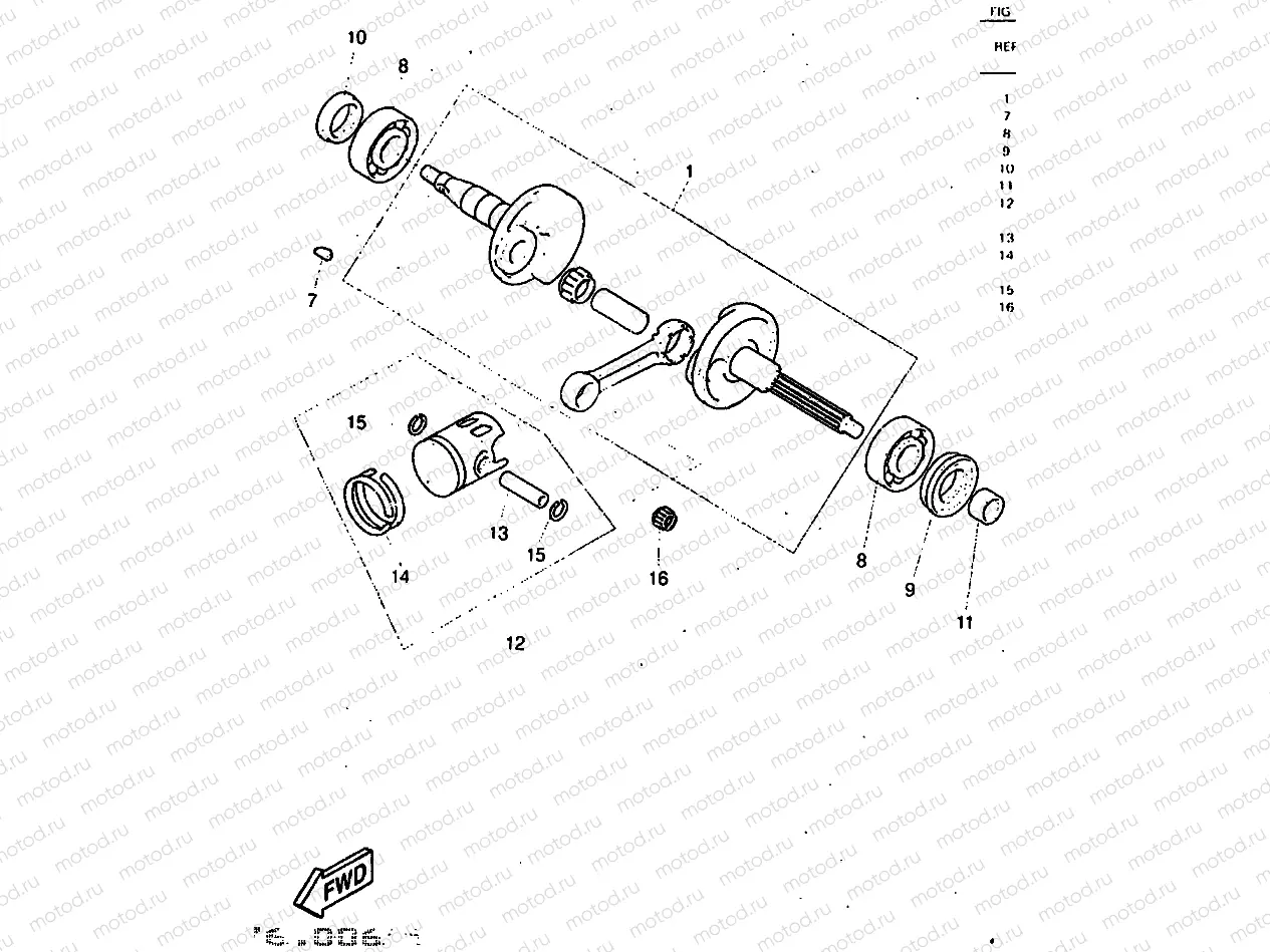 CIGUENAL & PISTON
