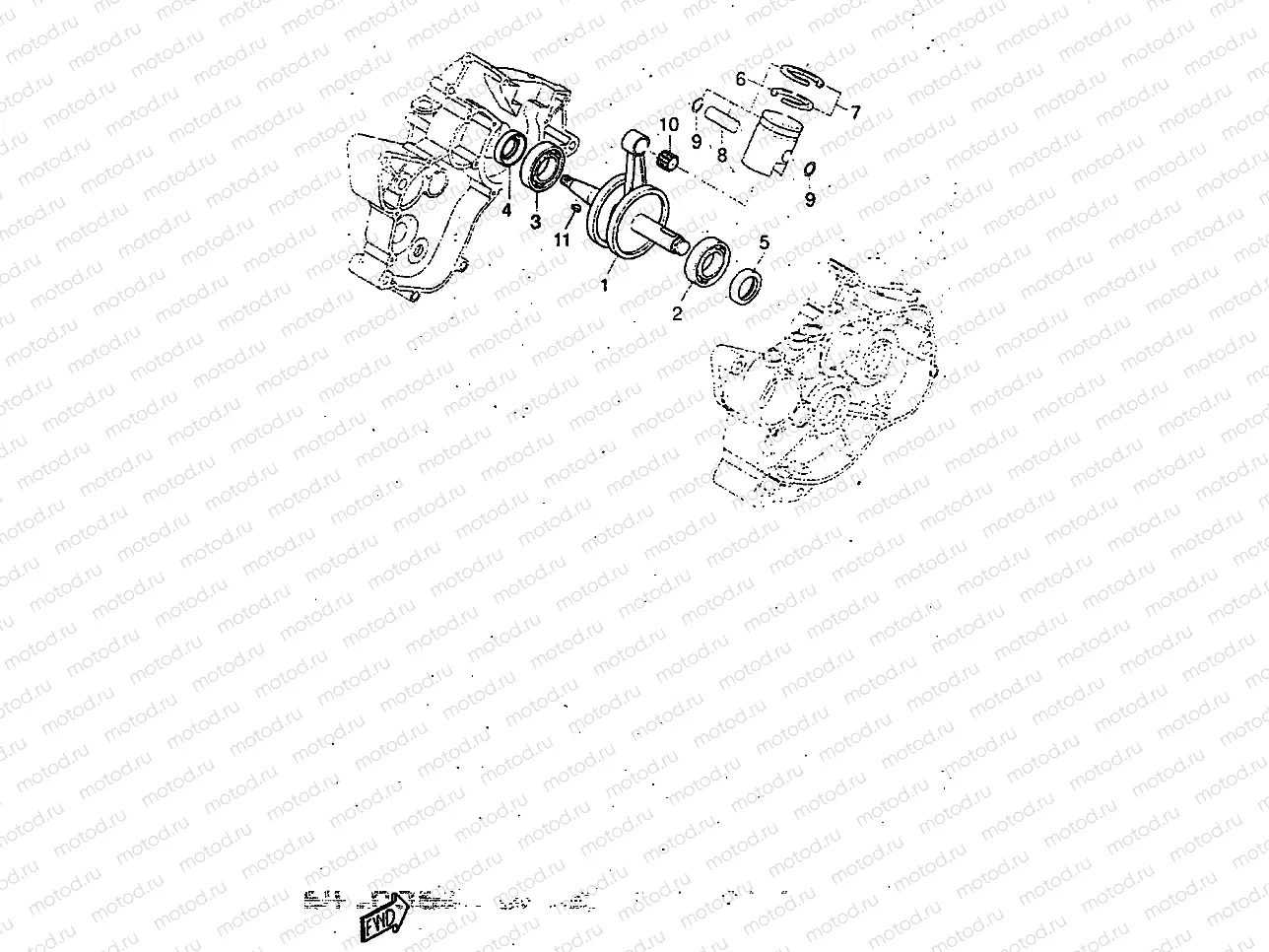 CIGUENAL & PISTON