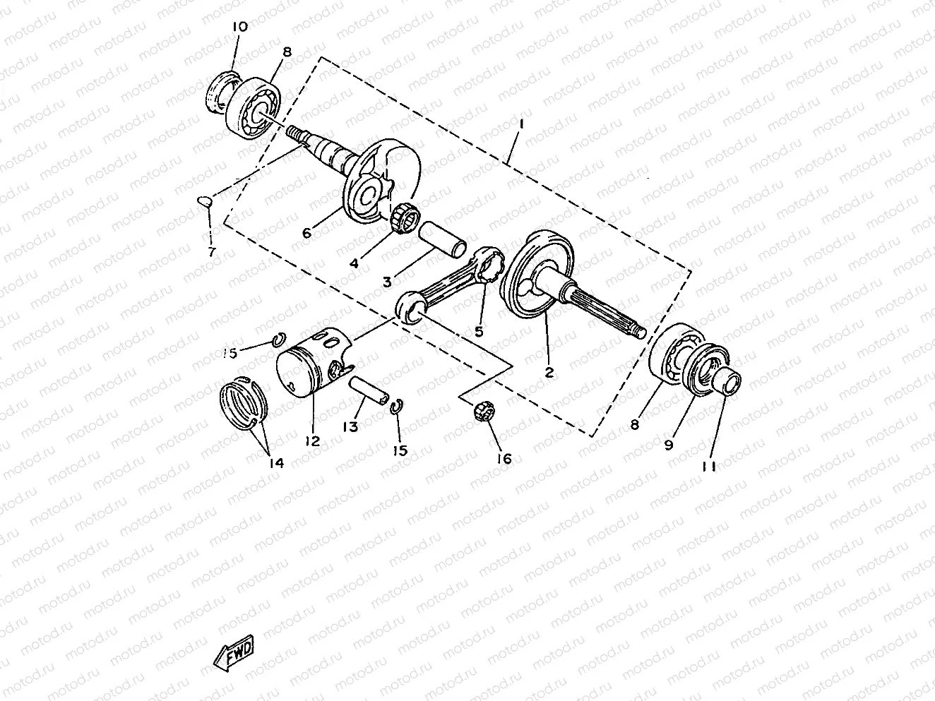CIGUENAL & PISTON