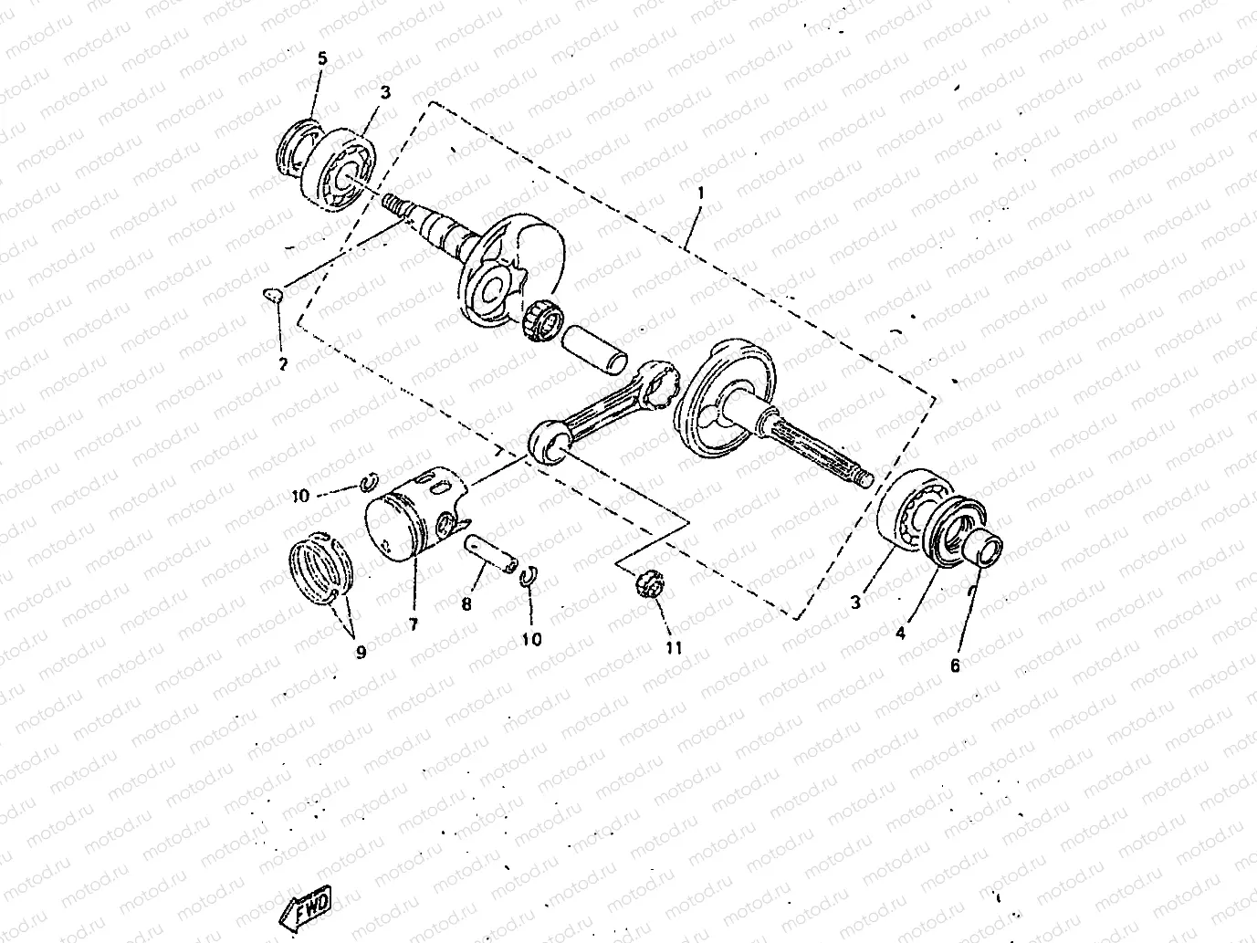 CIGUENAL & PISTON