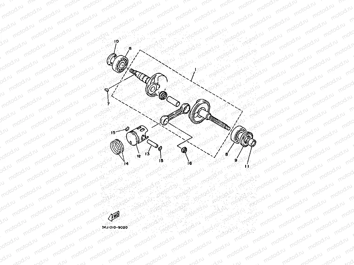 CIGUENAL & PISTON