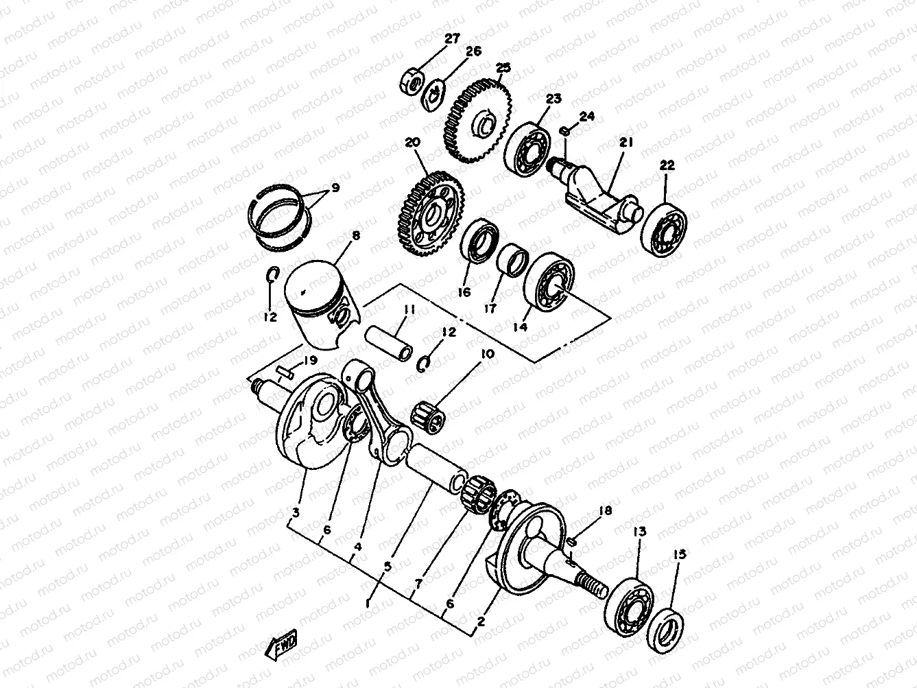 CIGUENAL & PISTON