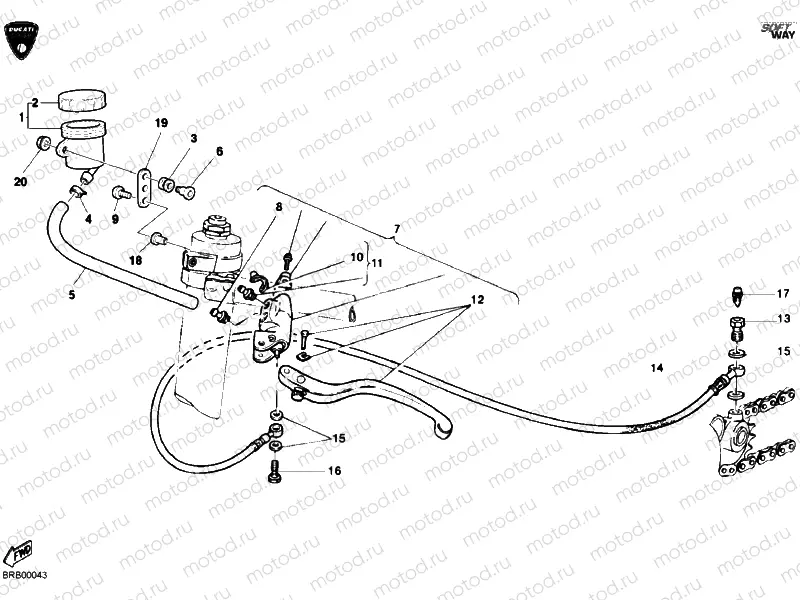 CLUTCH MASTER CYLINDER » CLUTCH