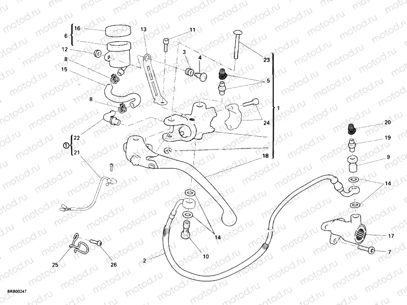 CLUTCH MASTER CYLINDER » CLUTCH