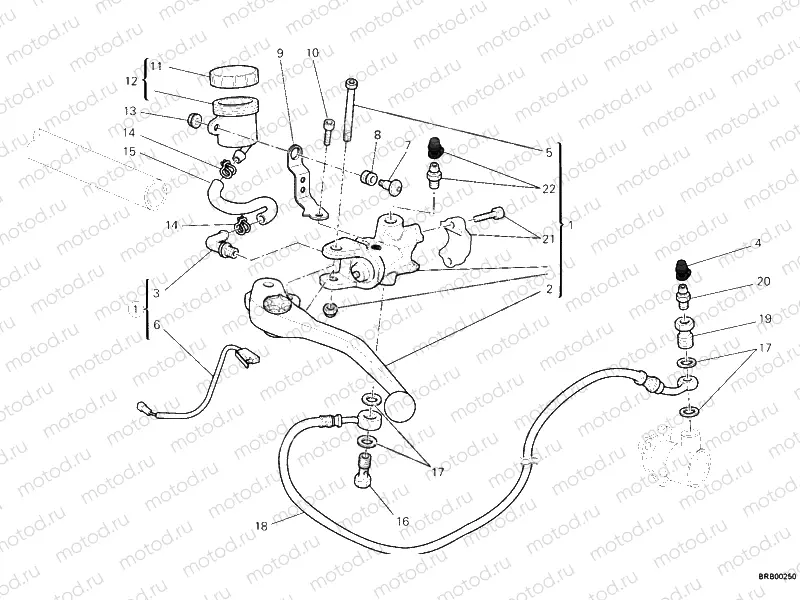 CLUTCH MASTER CYLINDER » CLUTCH
