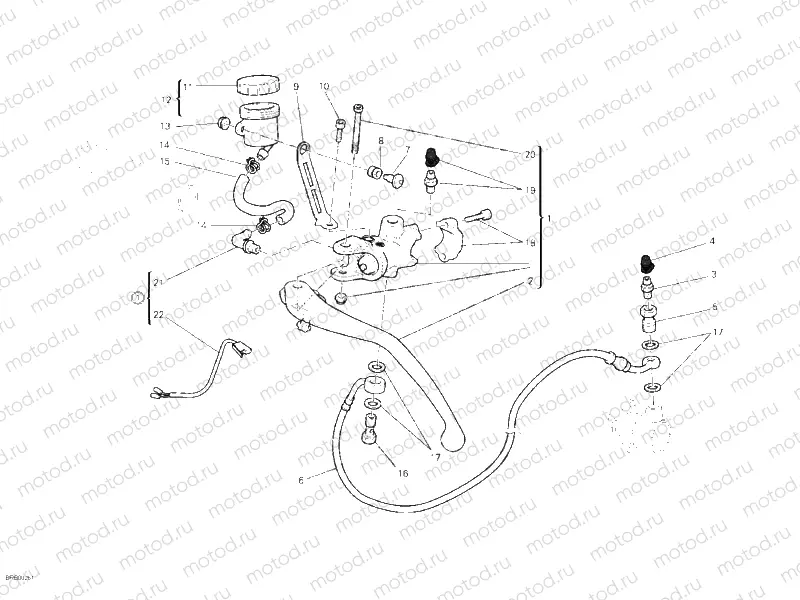 CLUTCH MASTER CYLINDER » CLUTCH