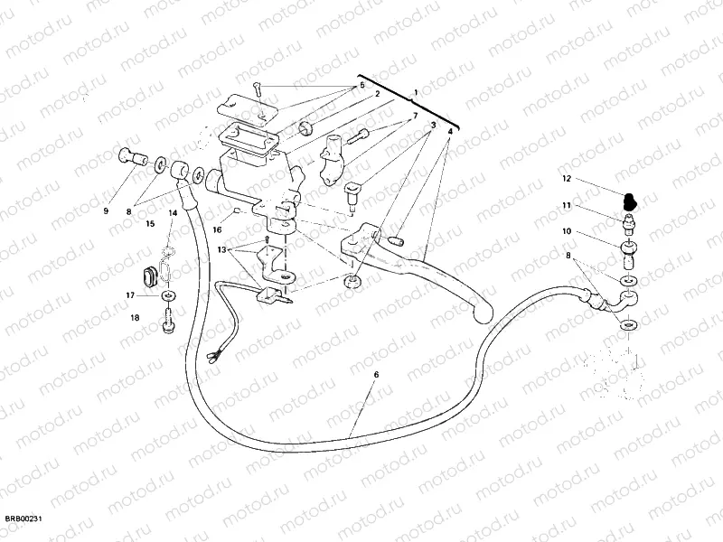 CLUTCH MASTER CYLINDER » CLUTCH