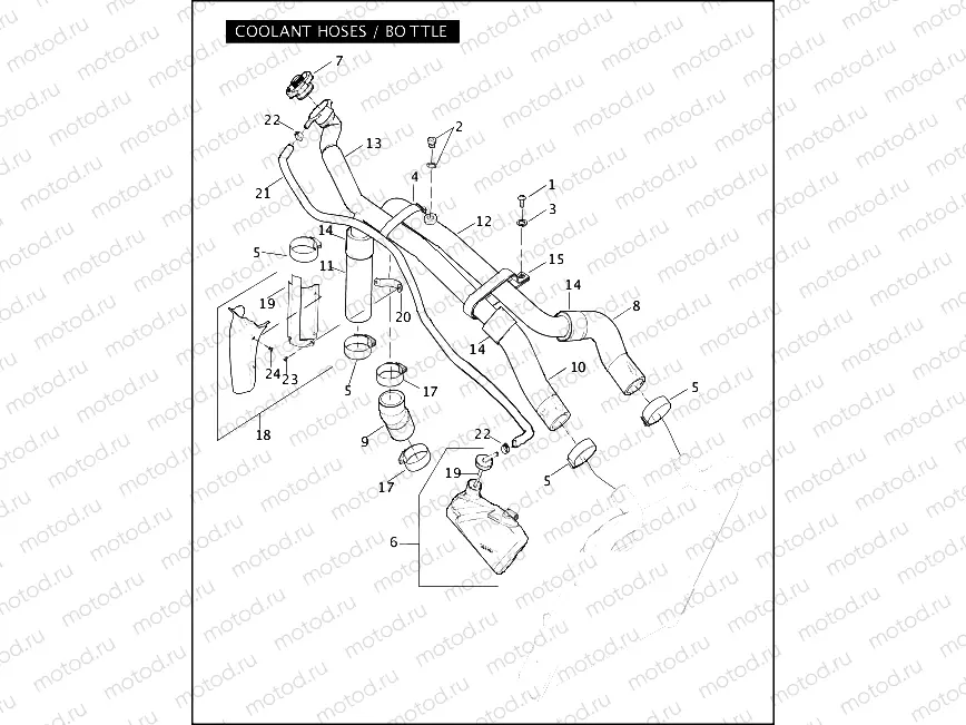 COOLANT HOSES / BOTTLE