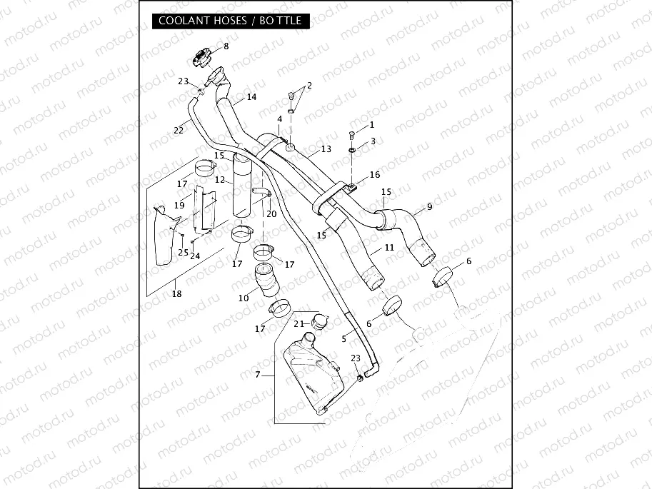 COOLANT HOSES / BOTTLE
