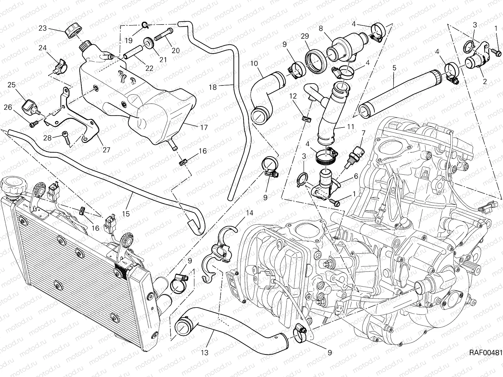 COOLING CIRCUIT [MOD:HYM-SP;XST:AUS,EUR,FRA,JAP]