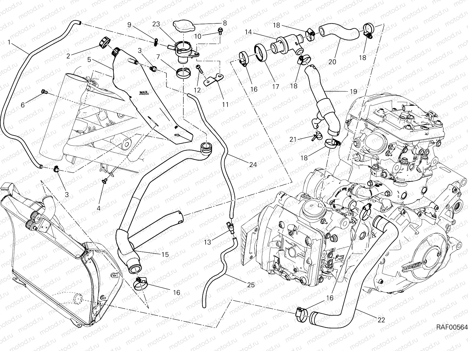 COOLING CIRCUIT [MOD:XDIAVEL]