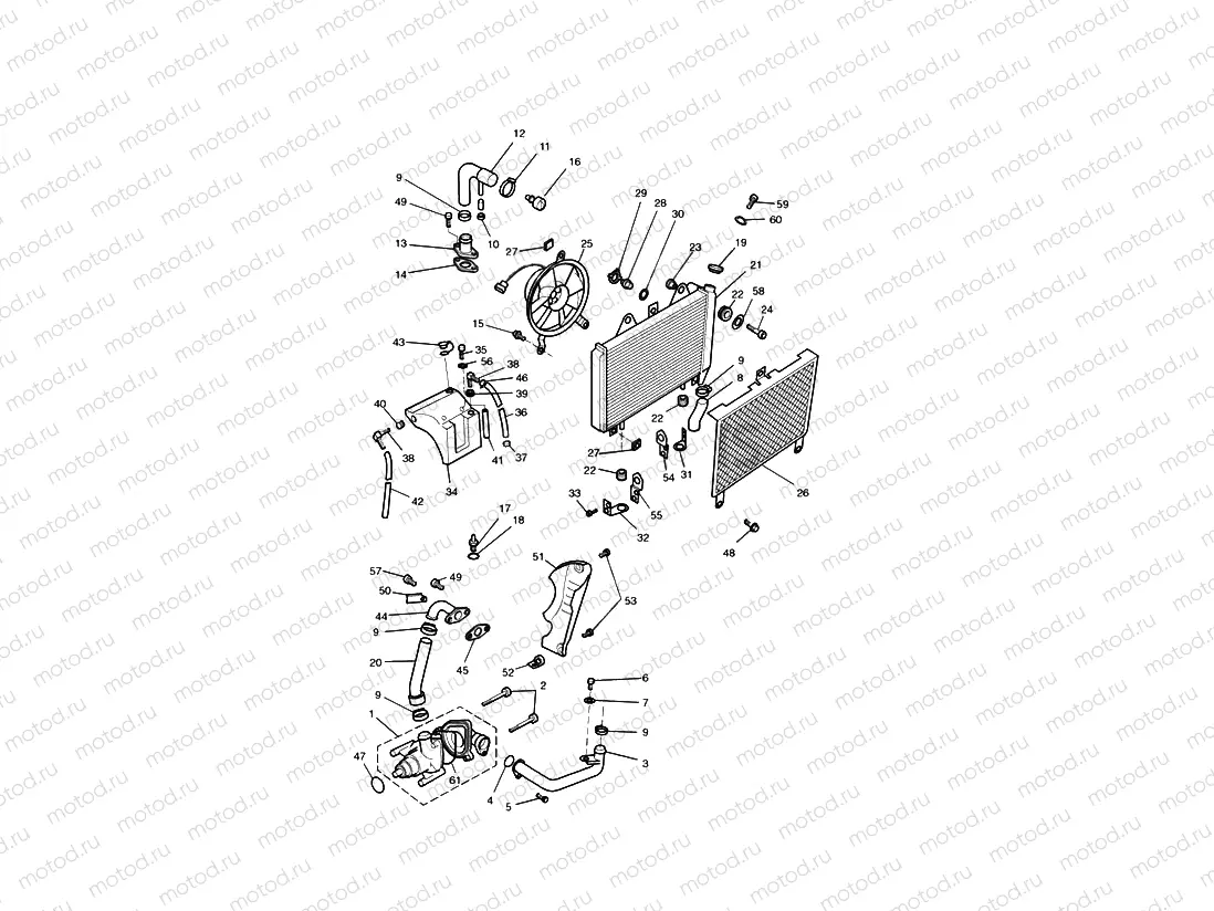 Cooling System 3 Cylinder