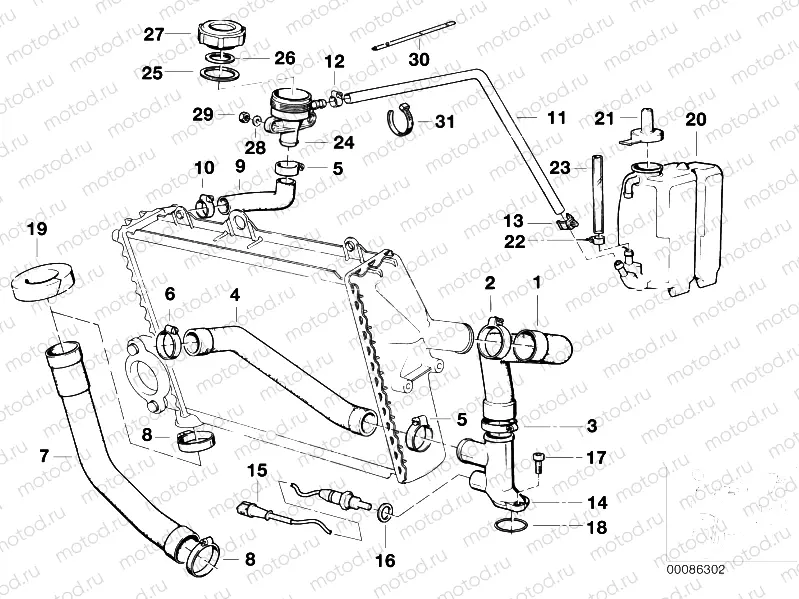 Cooling system - water hoses