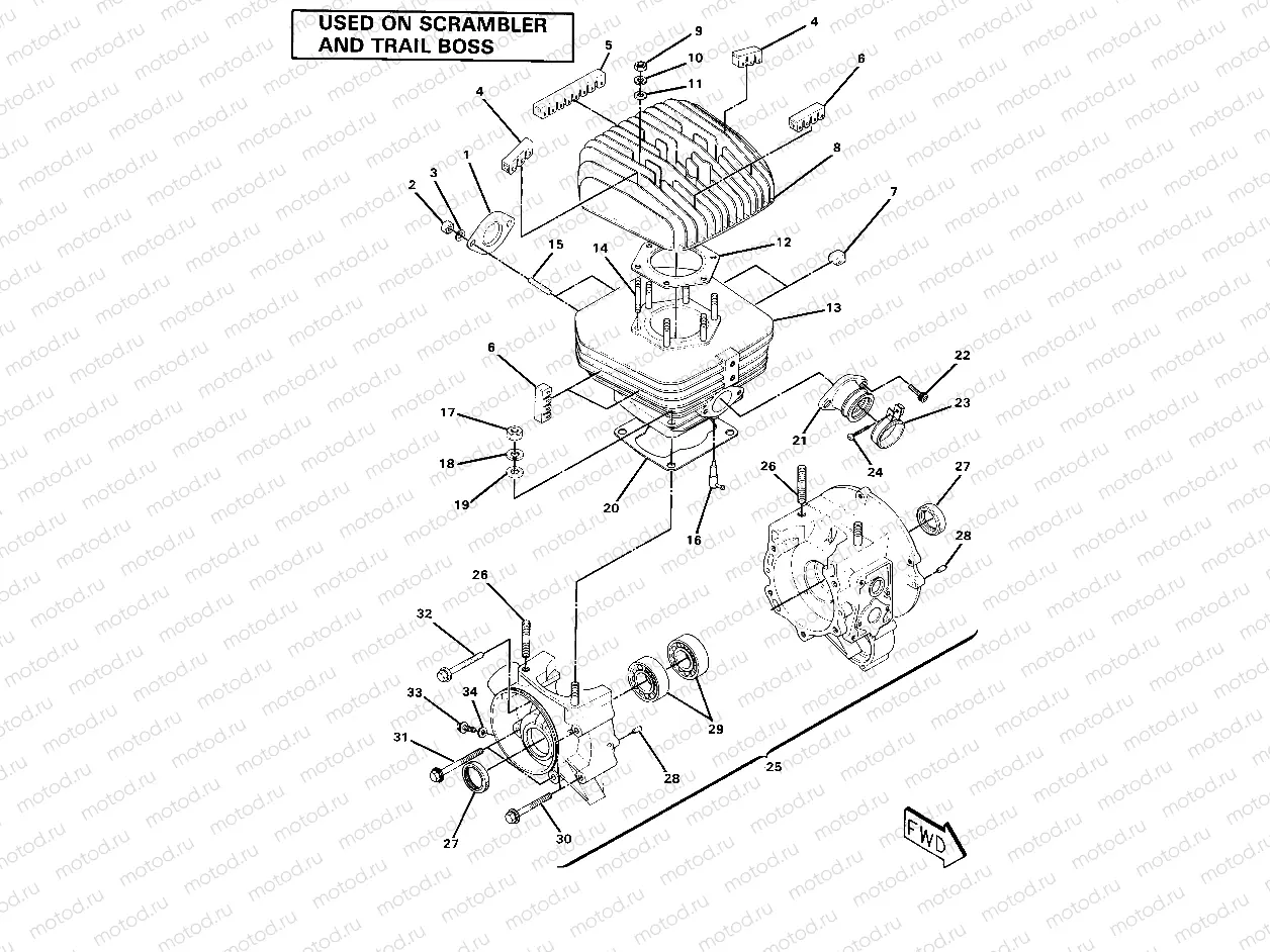 Crankcase and Cylinder Assembly (4910981098042A) | Crankcase and Cylinder Assembly (4910981098042A)