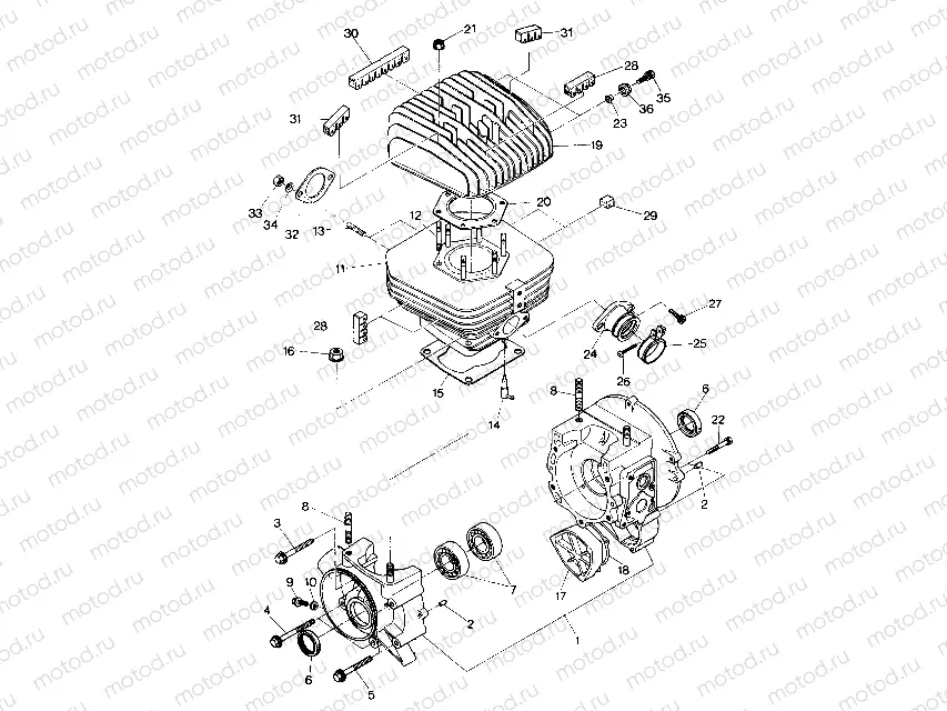 Crankcase and Cylinder Assembly (4913501350031A) | Crankcase and Cylinder Assembly (4913501350031A)