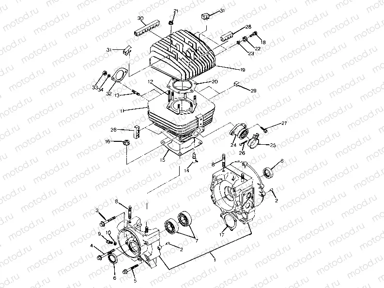 Crankcase and Cylinder Assembly (4917731773041A) | Crankcase and Cylinder Assembly (4917731773041A)