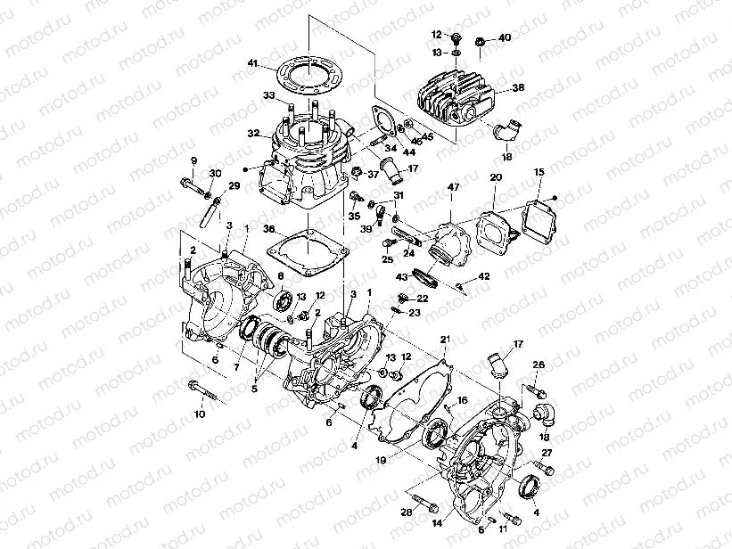 Crankcase and Cylinder Assembly (4918541854041A) | Crankcase and Cylinder Assembly (4918541854041A)