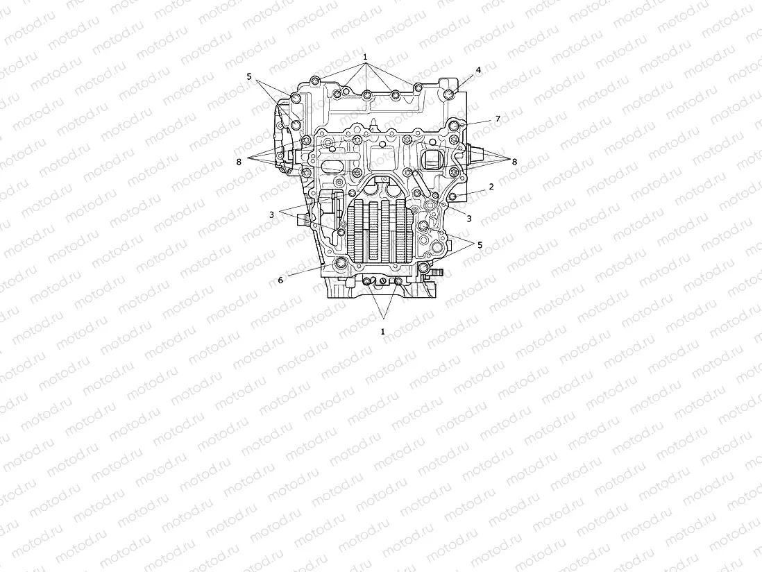 Crankcase Bolts