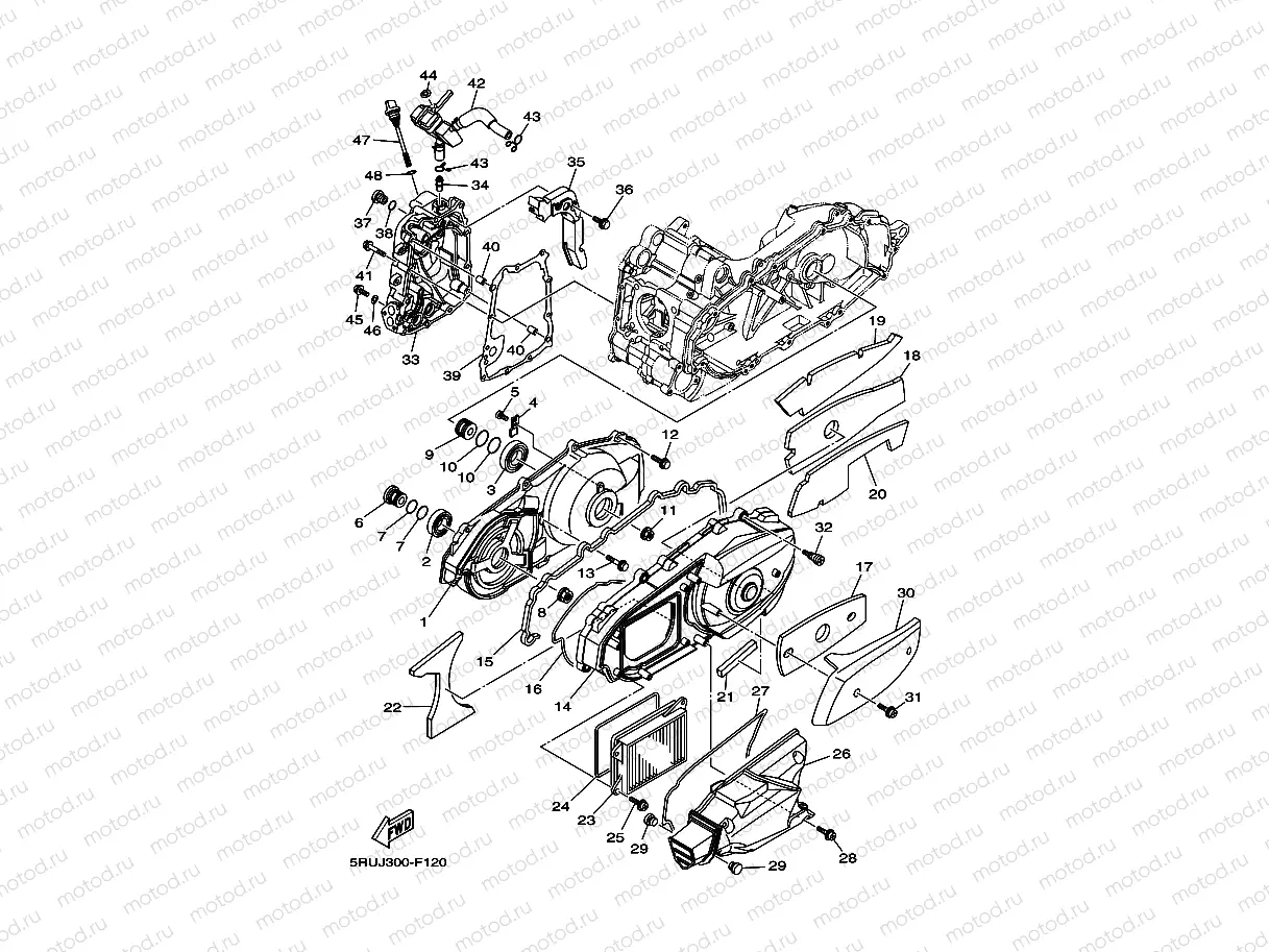 CRANKCASE COVER 1