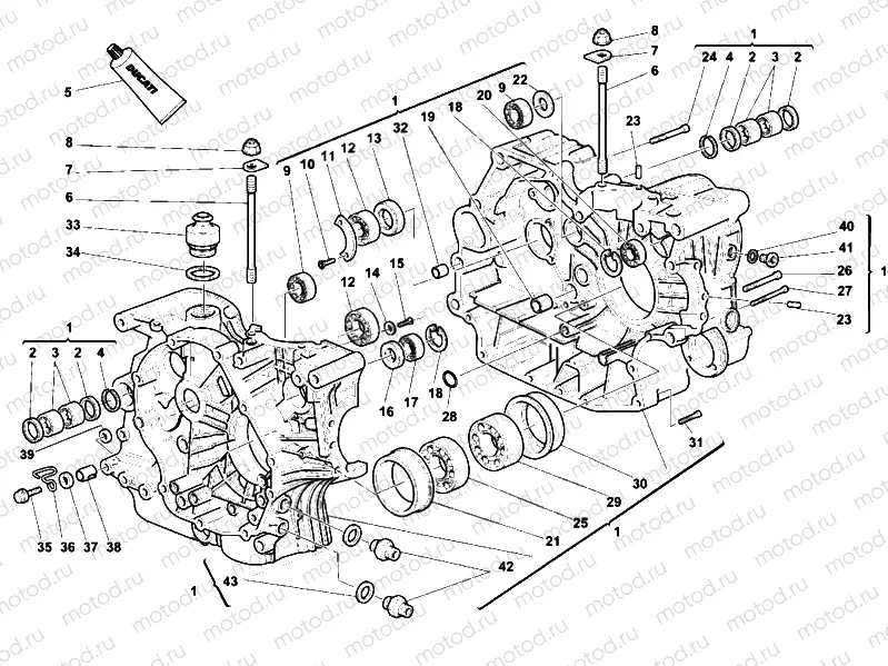 CRANKCASE » ENGINE CASE