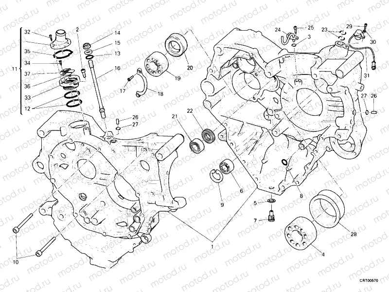 CRANKCASE » ENGINE CASE