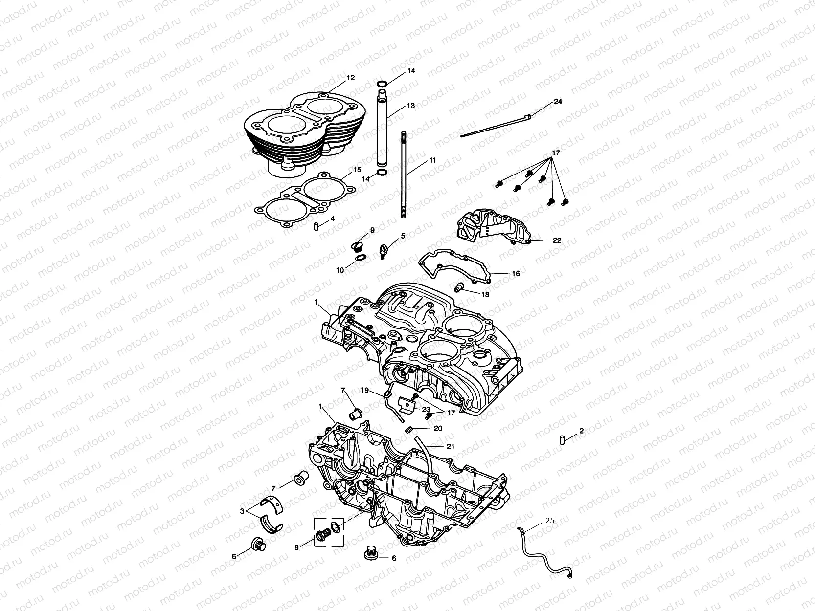 Crankcase & Fittings 221609