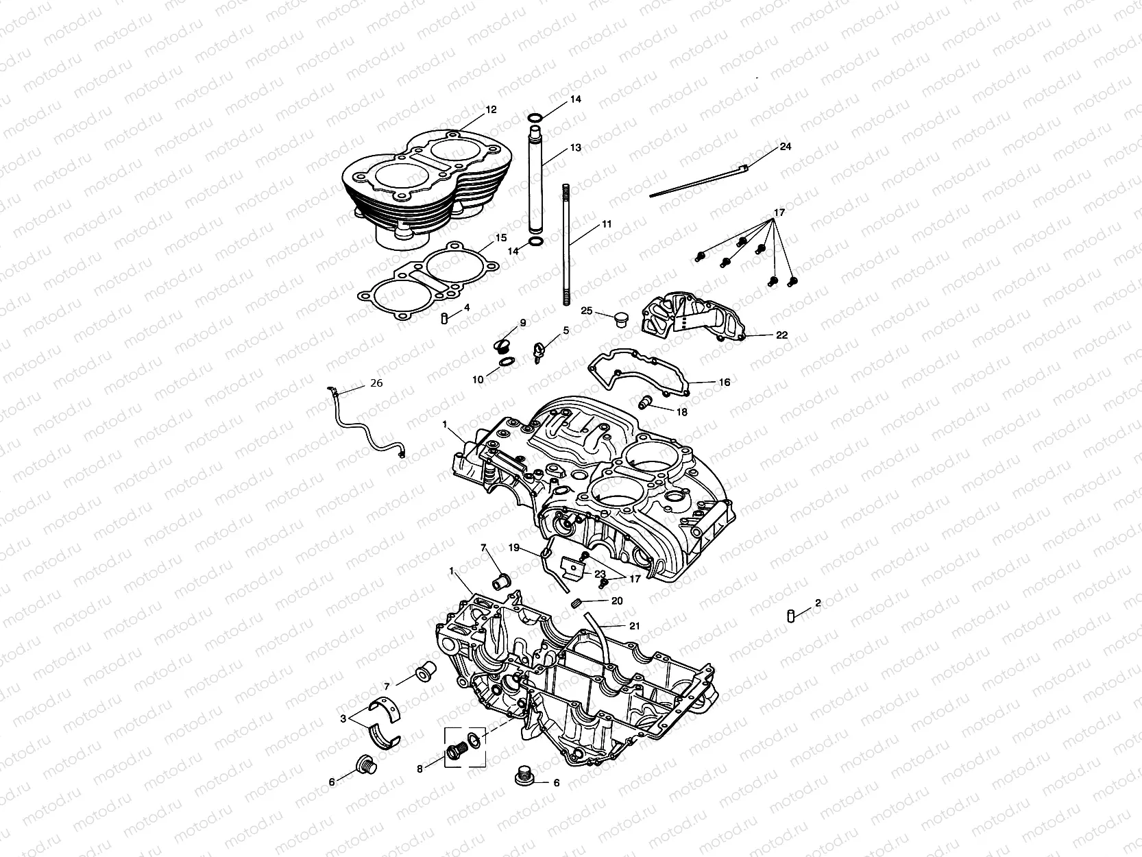 Crankcase & Fittings 221609