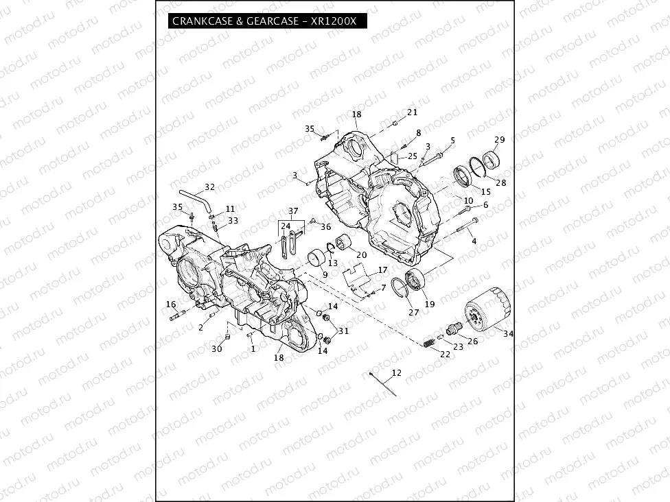 CRANKCASE & GEARCASE - XR1200X