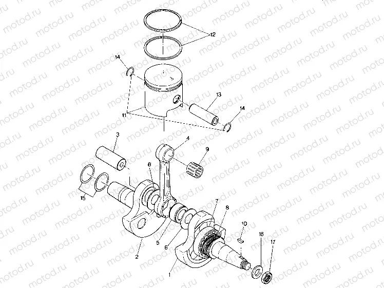 Crankshaft and Piston Assembly (4914771477033A) | Crankshaft and Piston Assembly (4914771477033A)