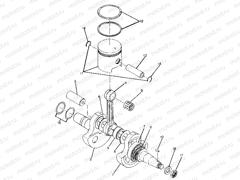 Crankshaft and Piston Assembly (4917731773042A) | Crankshaft and Piston Assembly (4917731773042A)