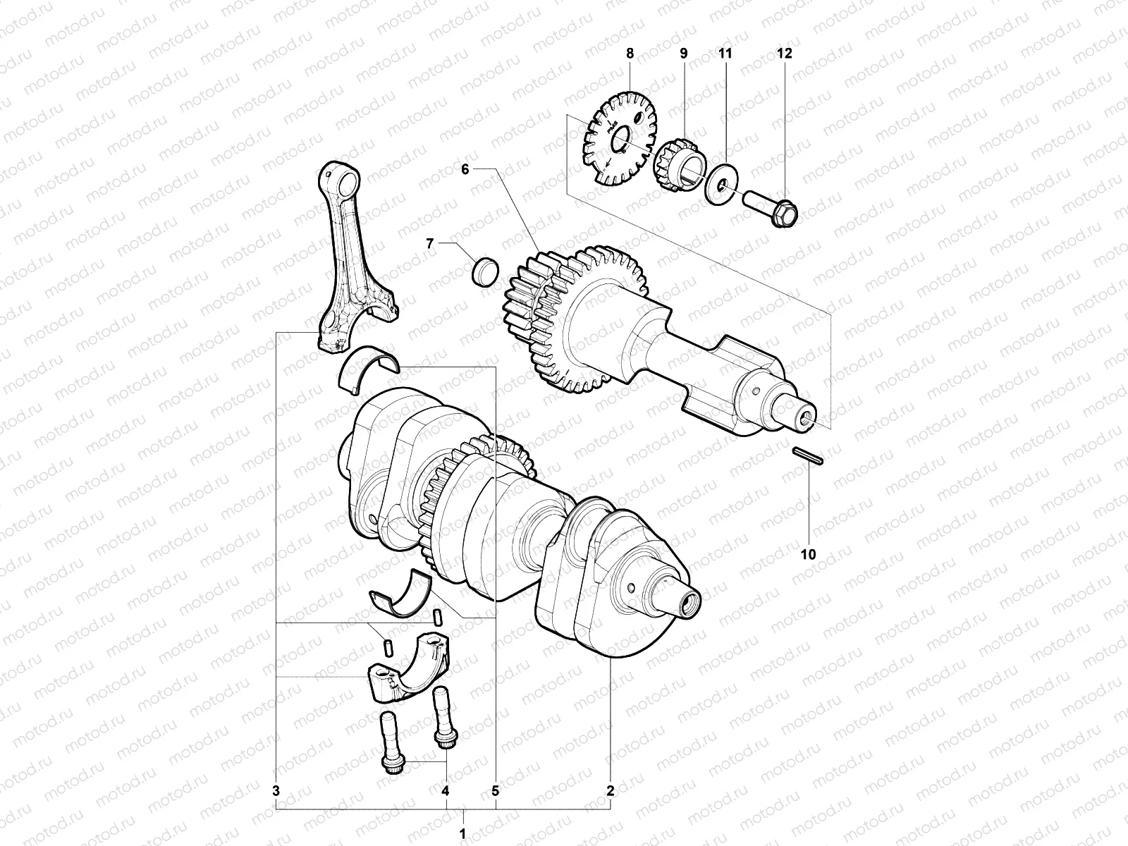 Crankshaft Assembly