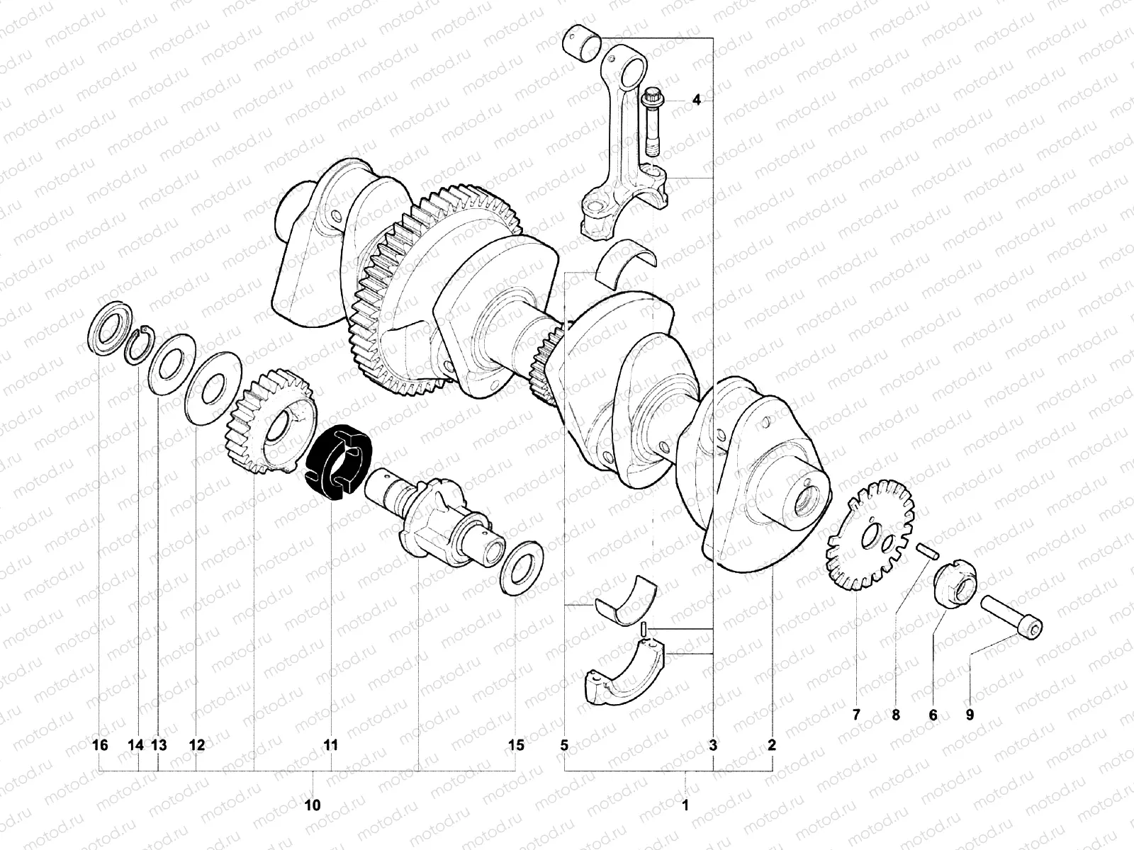 Crankshaft Assembly