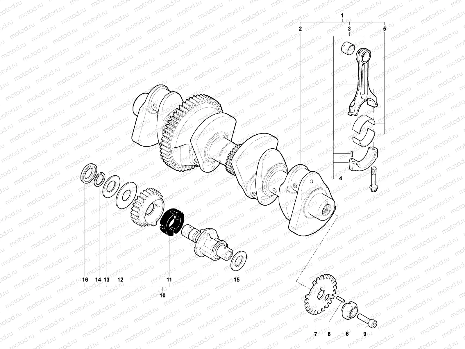 Crankshaft Assembly