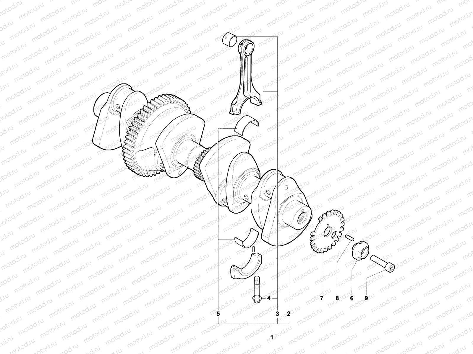 Crankshaft Assembly