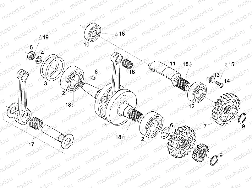 Crankshaft - Balance shaft